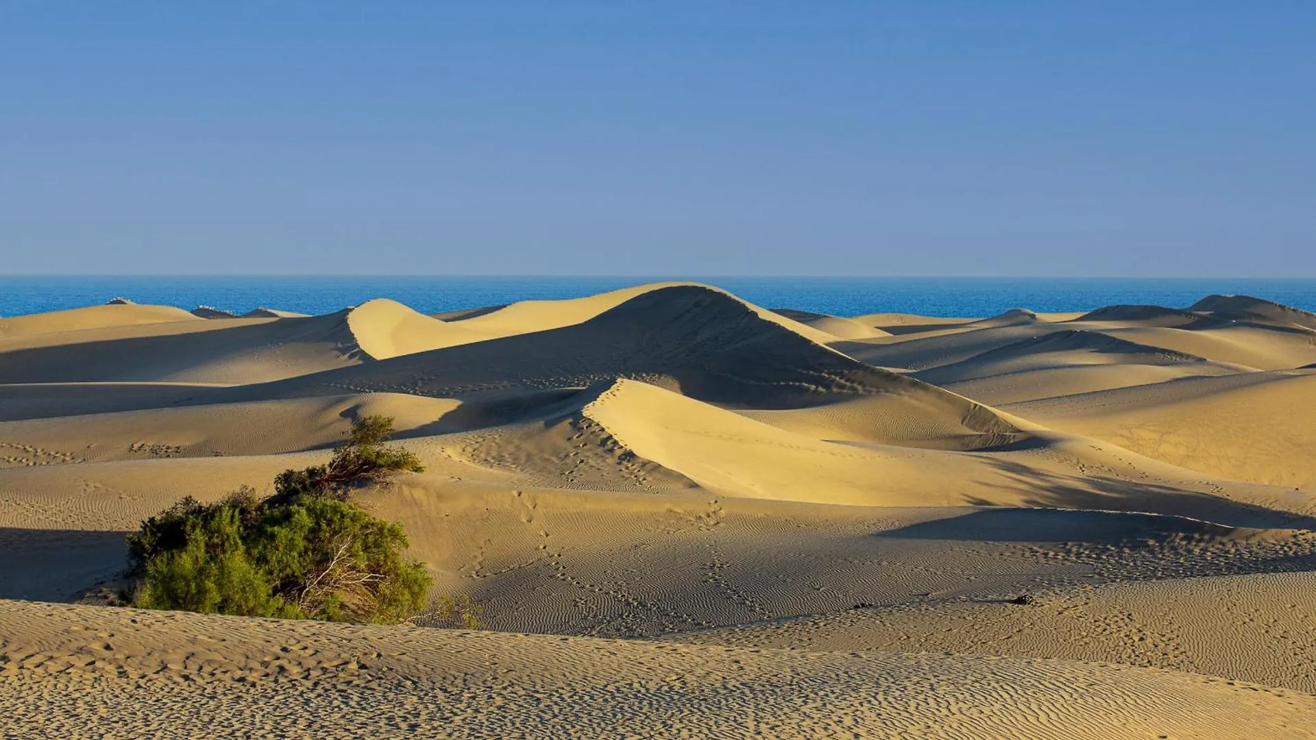 Bungalow Beside The Maspalomas Dunes By Pride Holiday Rentals San Bartolomé 0*,  Spagna